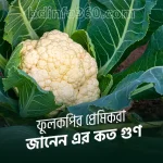 cauliflower