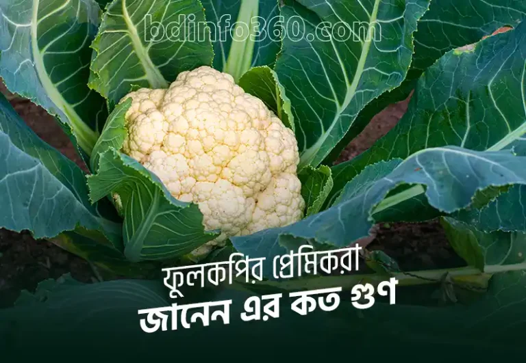 Cauliflower: হার্ট ও চোখ ভালো রাখতে চান, ফুলকপি খান