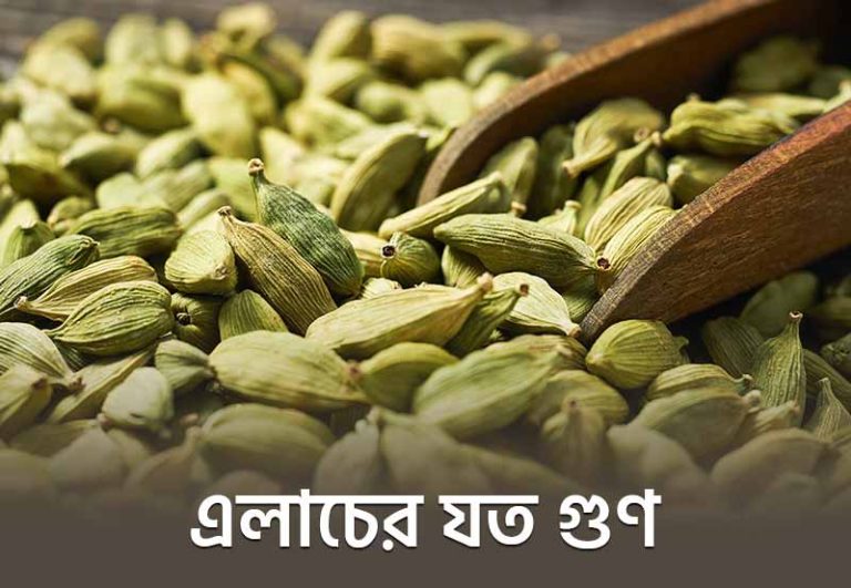 Cardamomum: এলাচের যত গুণ, জানলে অবাক হবেন