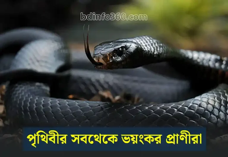 Dangerous animals: এসব প্রাণী থেকে সাবধান, মিনিটেই চলে যেতে পারে প্রাণ