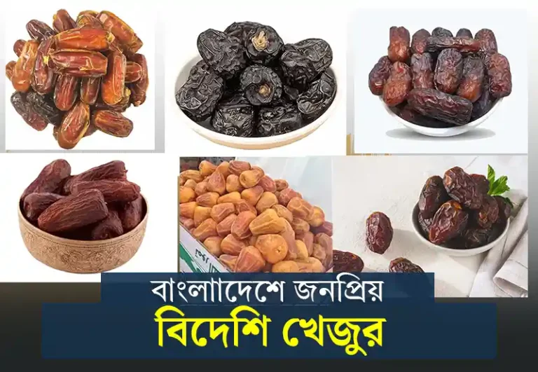 Dates: বিভিন্ন রকমের খেজুর ও তাদের উপকারিতা