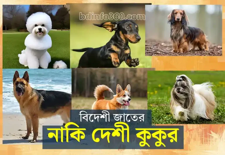 Dog: কোন জাতের কুকুর পালবেন