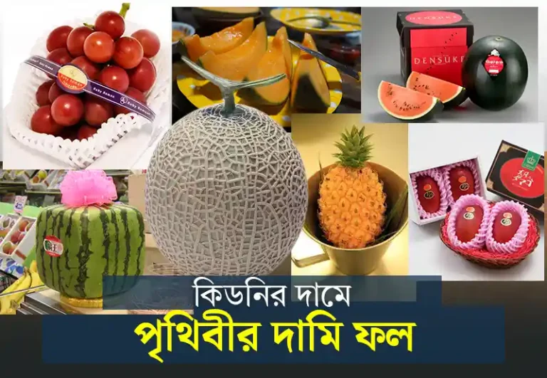Expensive fruits: এই ফলগুলো খেতে আপনাকে কিডনি বেঁচতে হবে