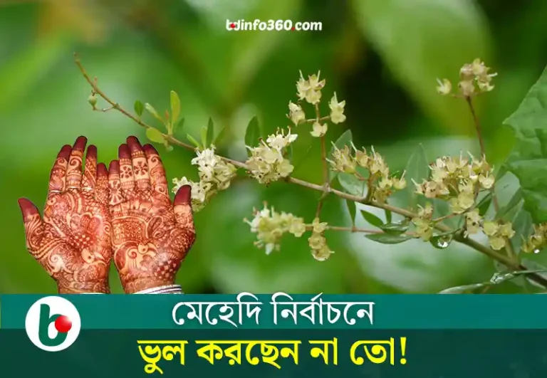 Henna: কোন মেহেদি সবচেয়ে নিরাপদ?