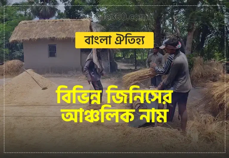 Local Name: বিভিন্ন জিনিসের আঞ্চলিক নাম