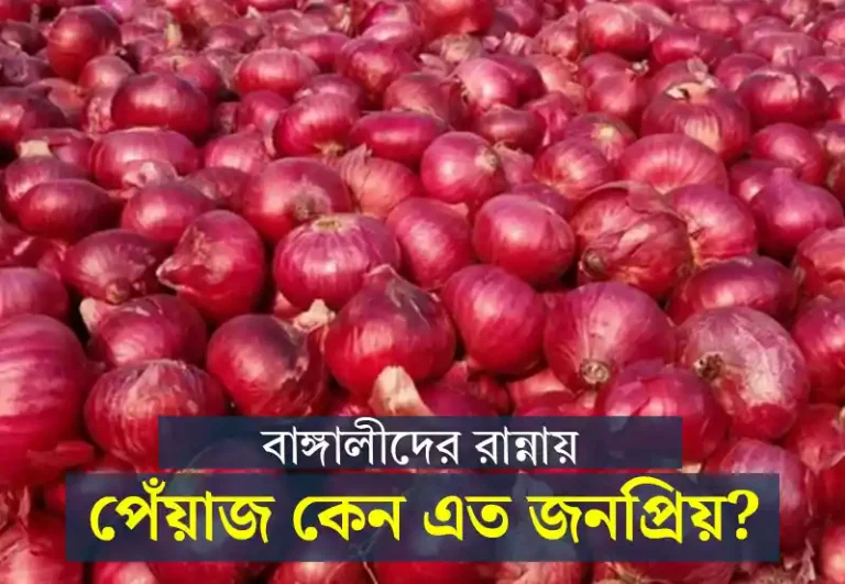 Onion: বাঙালিদের রান্নায় পেঁয়াজ কেন এত জনপ্রিয়