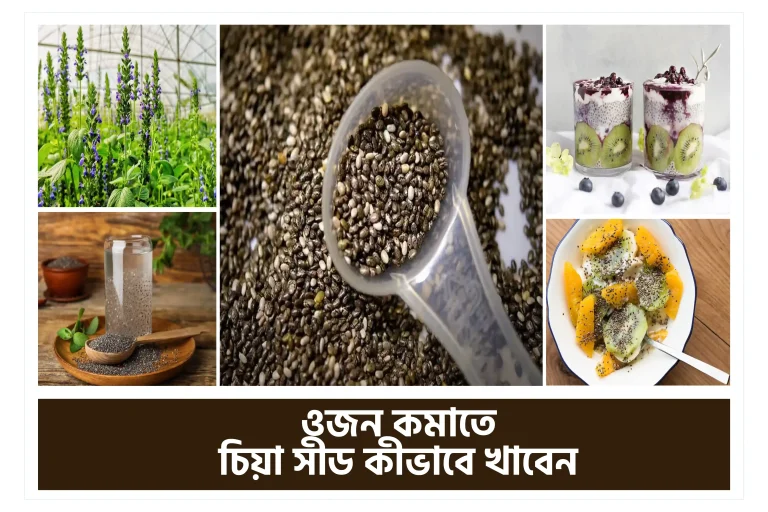 Basil Seed: চিয়া সীডের আশ্চার্যজনক কিছু গুণ