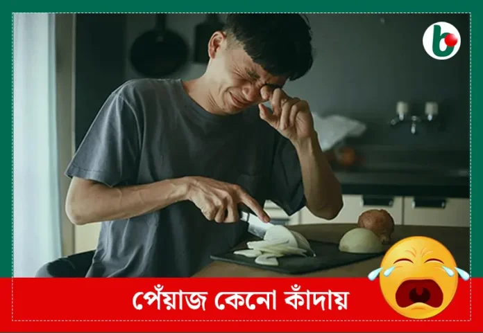 পেঁয়াজ কেনো কাঁদায়