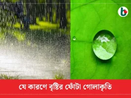 যে কারণে বৃষ্টির ফোঁটা গোলাকৃতির