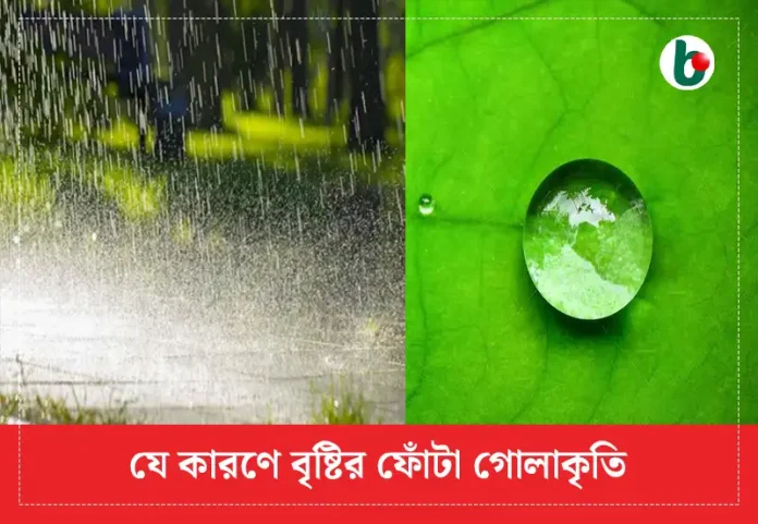 যে কারণে বৃষ্টির ফোঁটা গোলাকৃতির