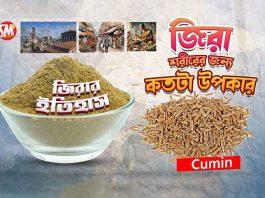 Cumin